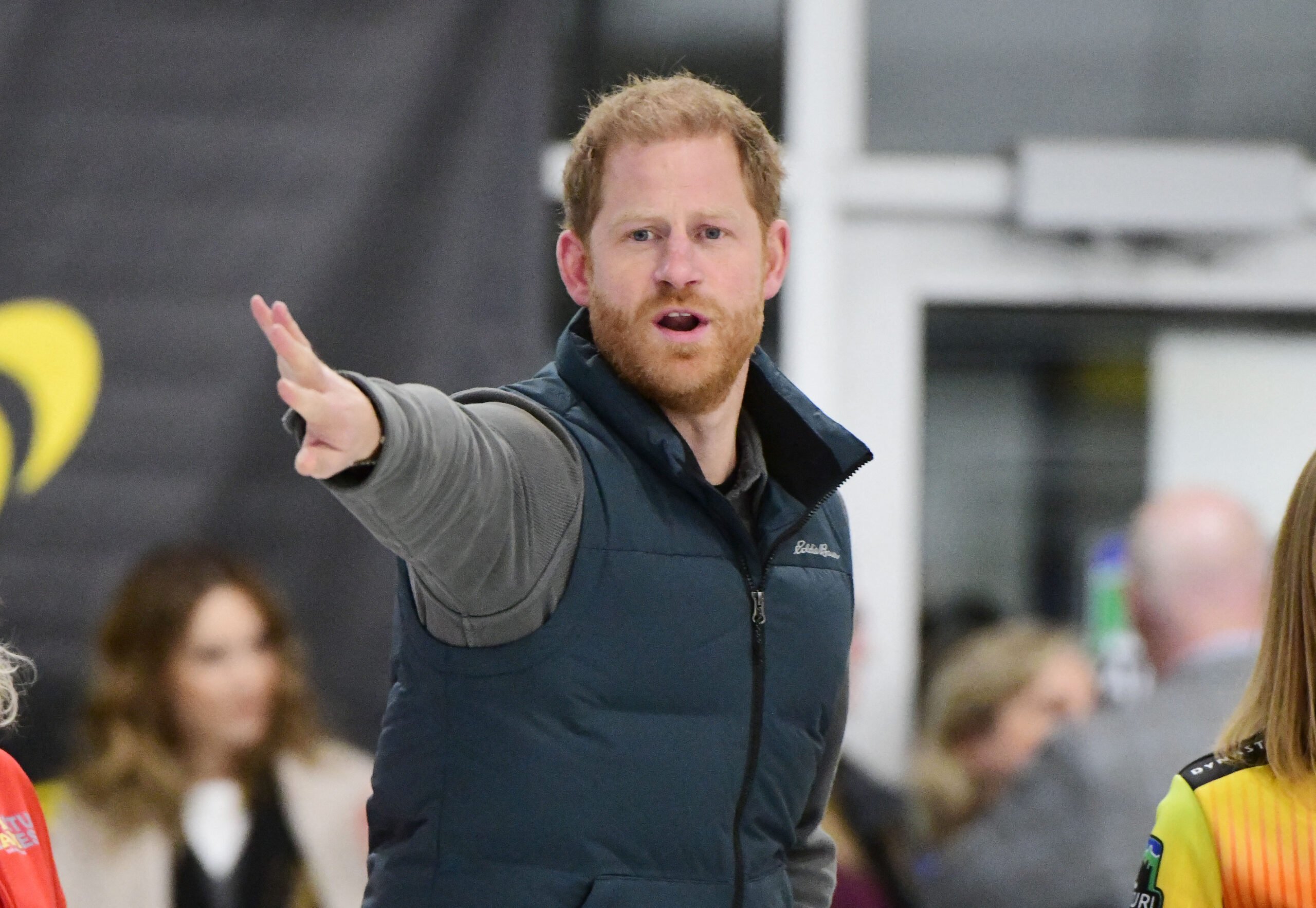 Prince Harry to the Royal Family: Take Me Back! I Can Help!