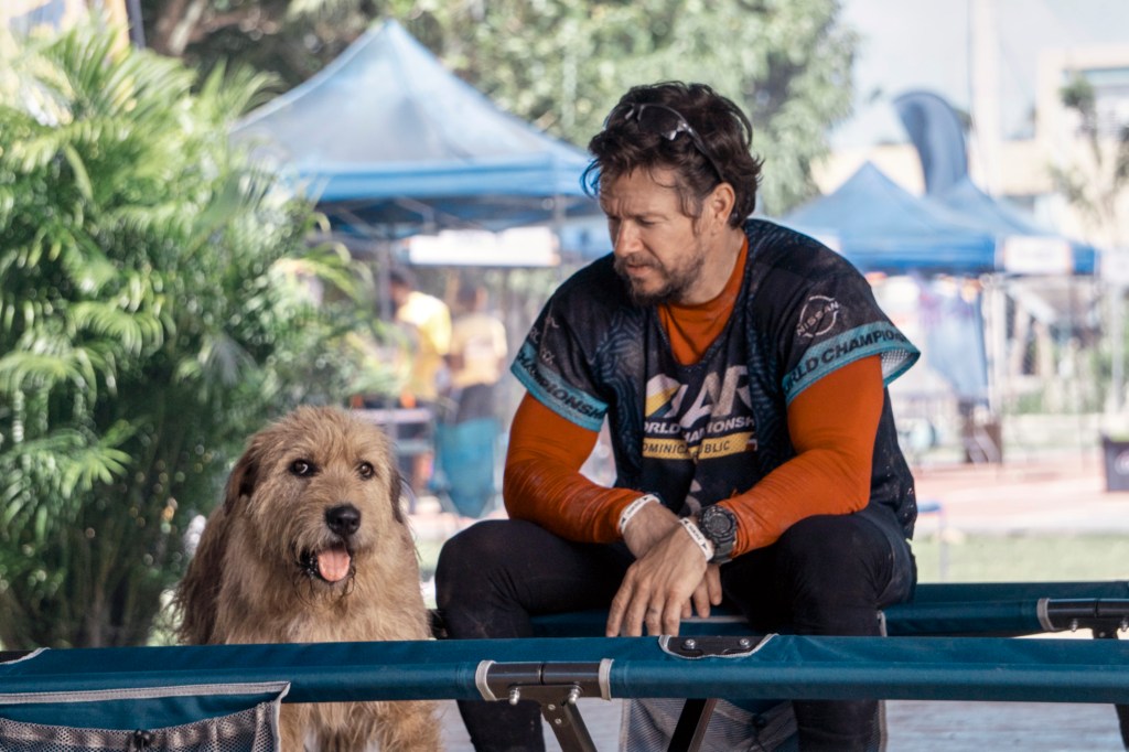 Box Office: Mark Wahlberg ‘Arthur the King’ In Dog House